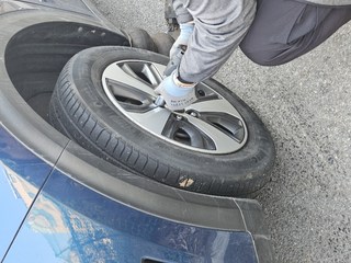 갤러리 이미지