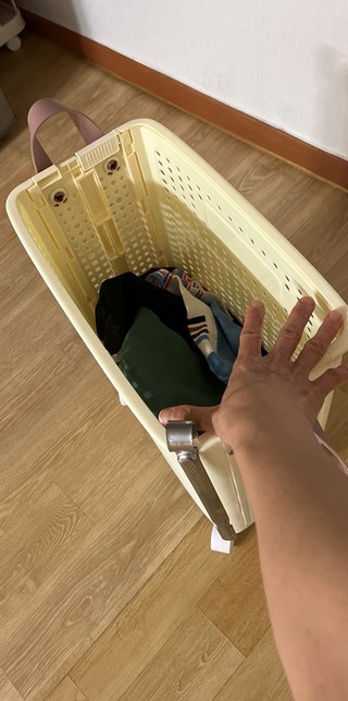 갤러리 이미지