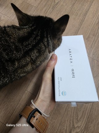 갤러리 이미지