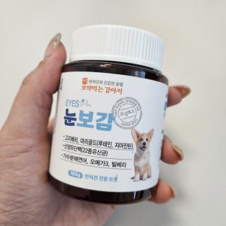 갤러리 이미지
