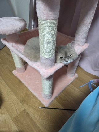 갤러리 이미지