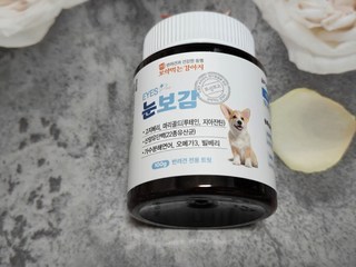 갤러리 이미지