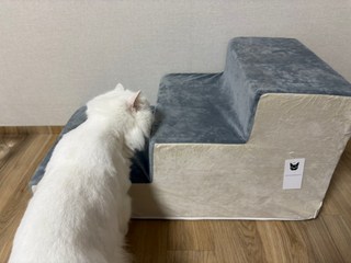 갤러리 이미지