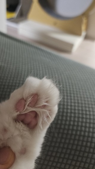 갤러리 이미지