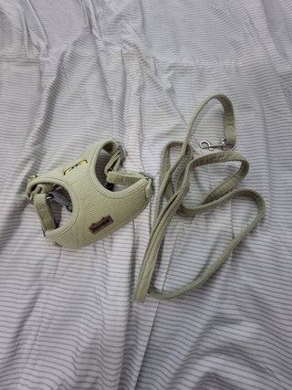 갤러리 이미지