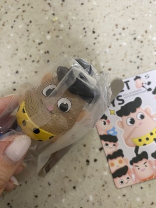 갤러리 이미지