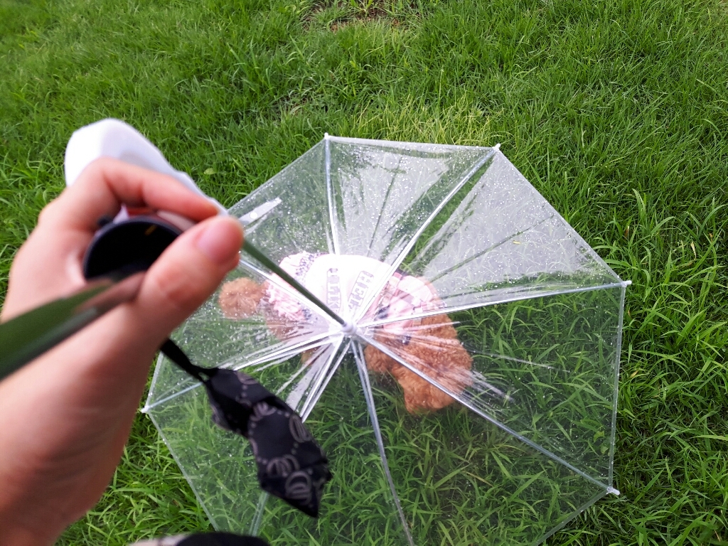 제제펫 도그 산책 우산
