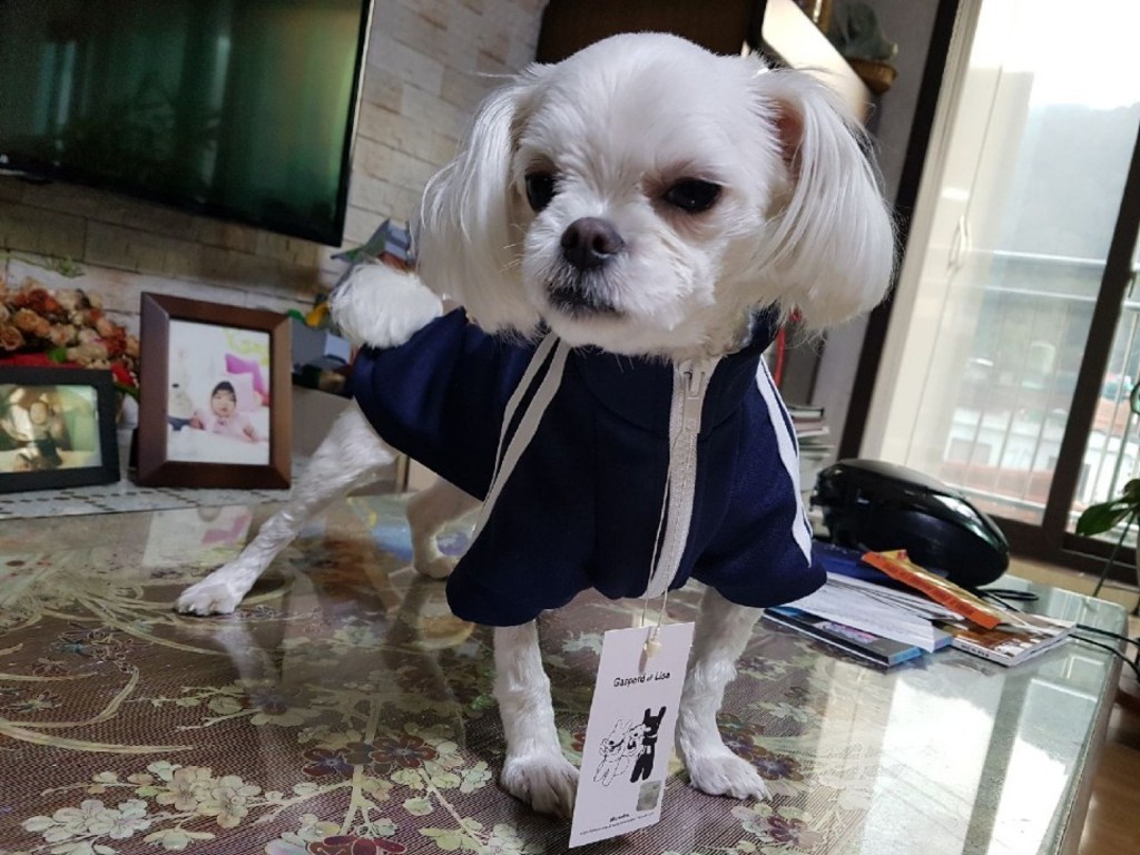 가스파드앤리사 반려동물 트랙점퍼