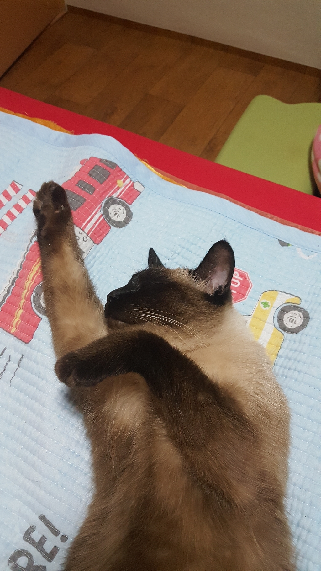 이나바 챠오 츄르 스틱 2종 셋트