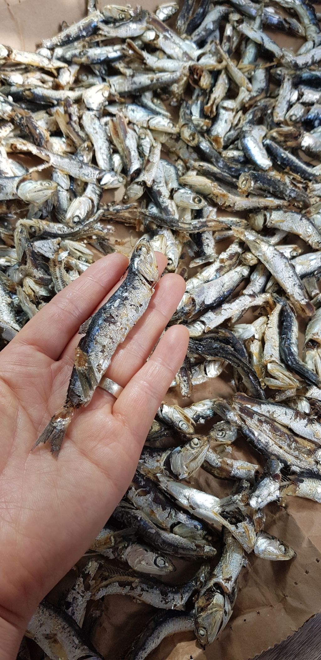 으뜸바다 통영 햇 다시 멸치 1 리뷰후기