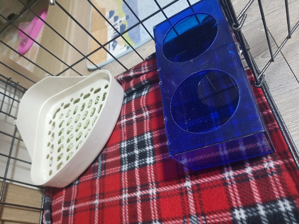 카르노 미니 소동물 화장실
