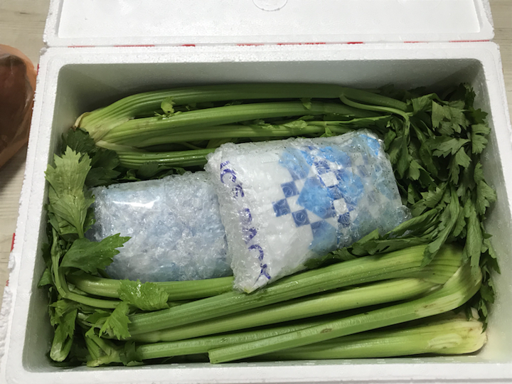 싱싱한 샐러리 리뷰후기