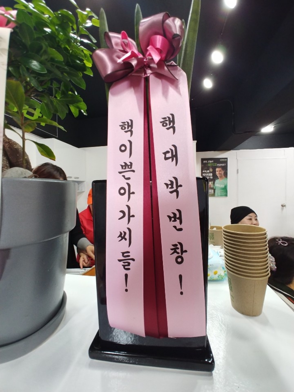 데일리플라워 크로톤 화분배달 승진화분 리본문구서비스전국당일배송 리뷰후기