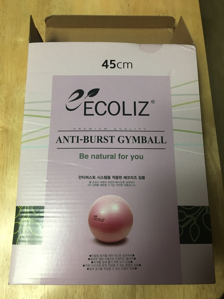 에코리즈 안티버스트 짐볼