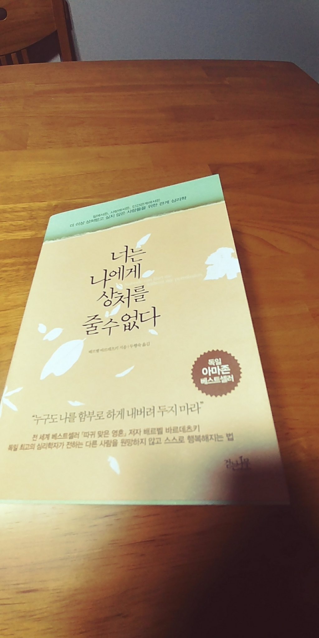 너는 나에게 상처를 줄 수 없다:더 이상 상처받고 싶지 않은 사람들을 위한 관계 심리학