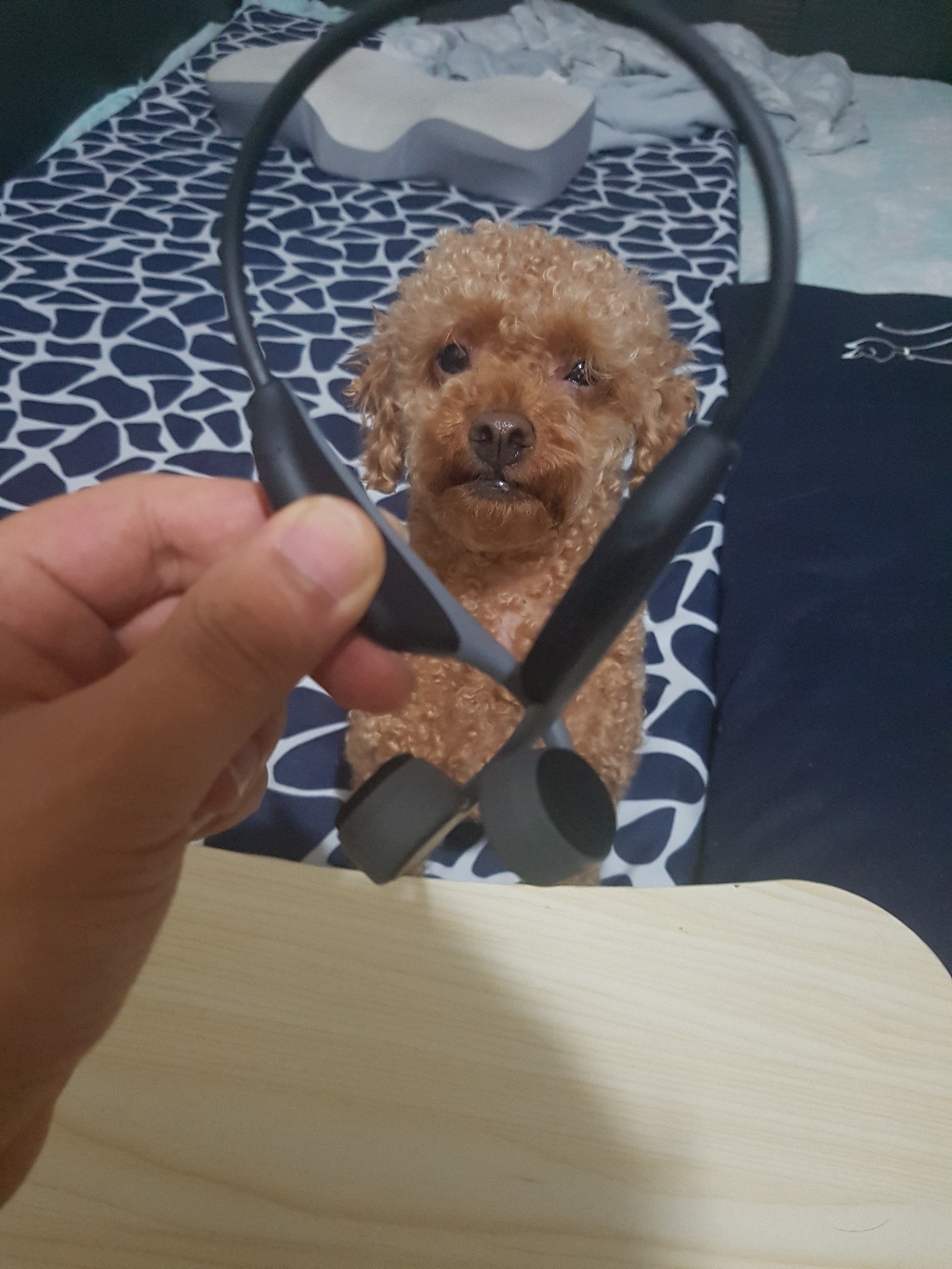에이스텍 골전도 무선 블루투스 이어폰