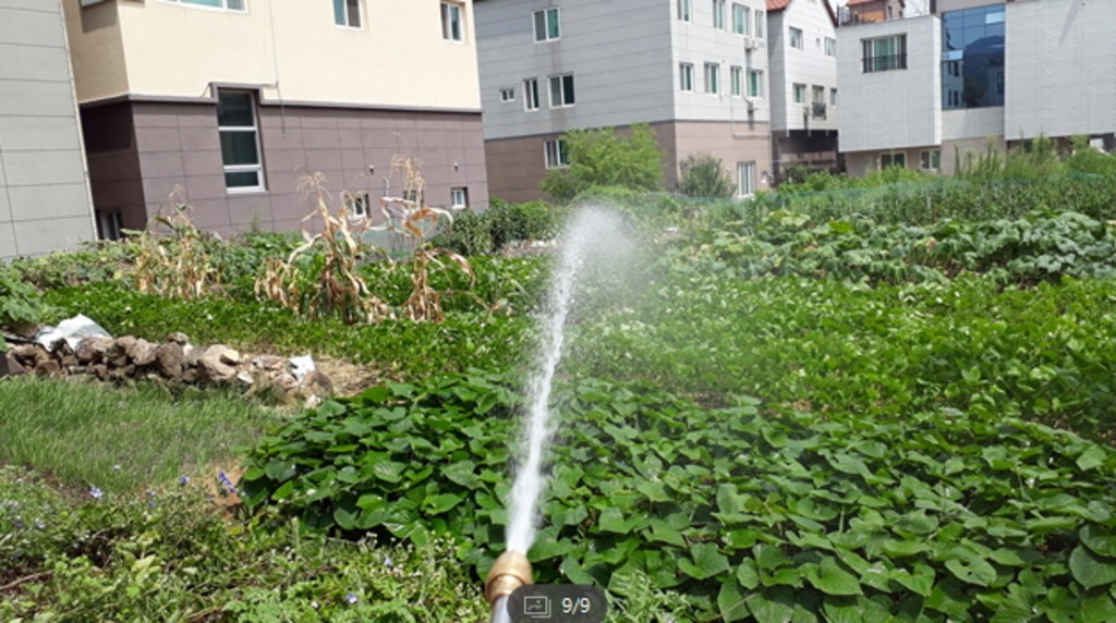 스마트킹카 매직스 일반스 일반 신형롱건