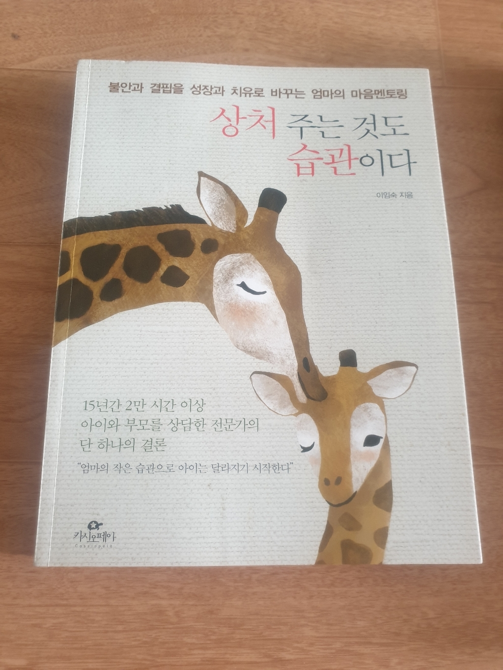 상처 주는 것도 습관이다:불안과 결핍을 성장과 치유로 바꾸는 엄마의 마음멘토링