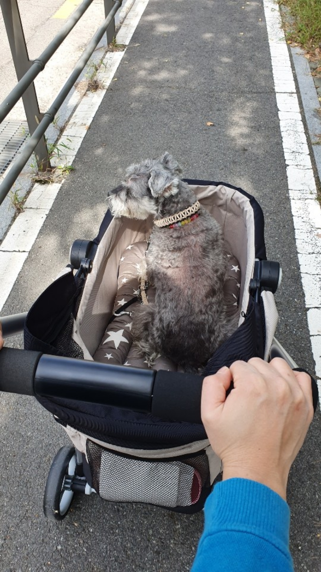 퍼피웨건럭셔리 반려 동물 알루미늄 유모차