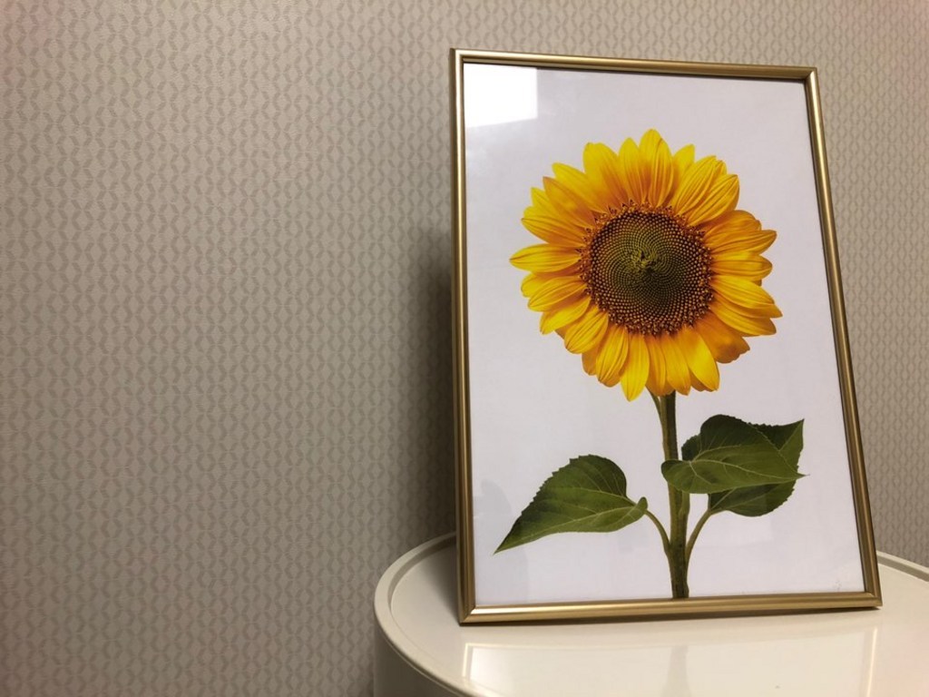 꼬아룸 복을 부르는 해바라기 풍수 그림 골드 메탈 프레임 인테리어 액자