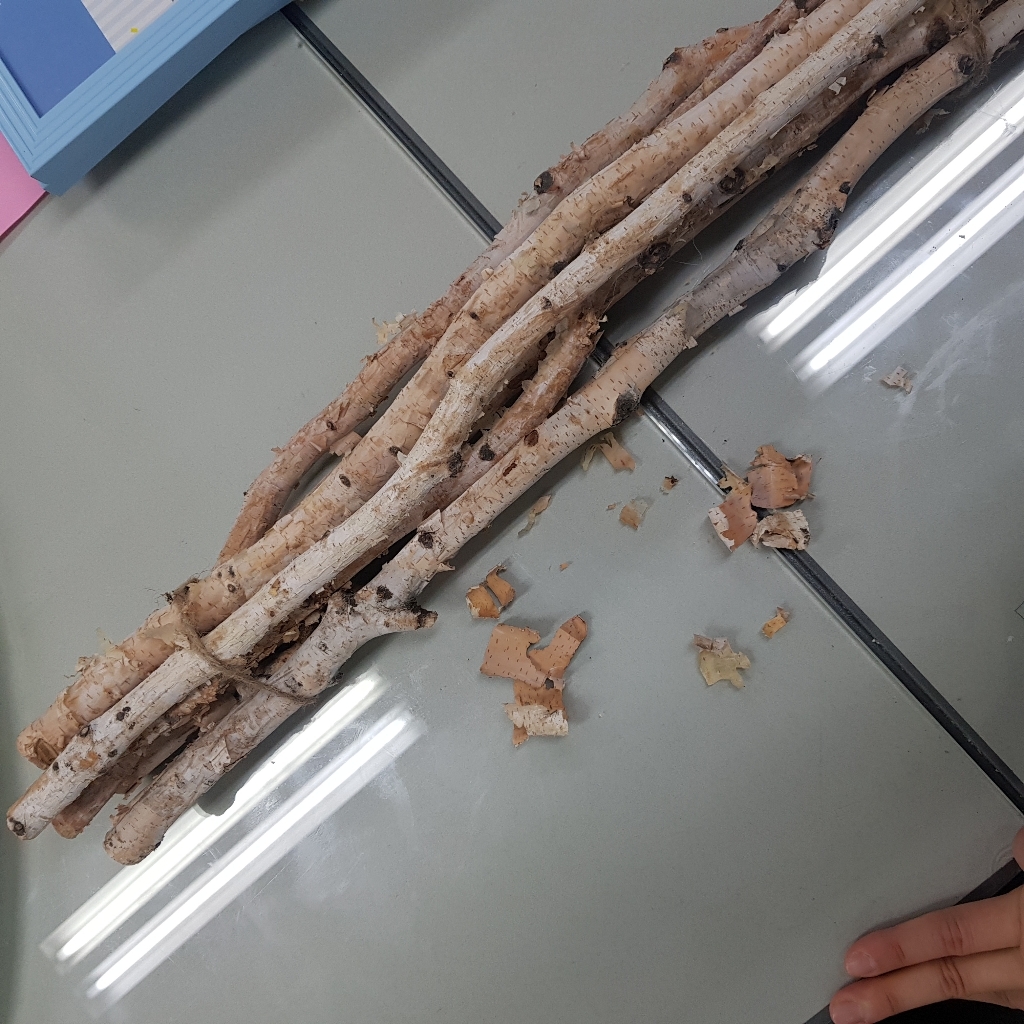 RYD DIY 자작 나뭇가지 55