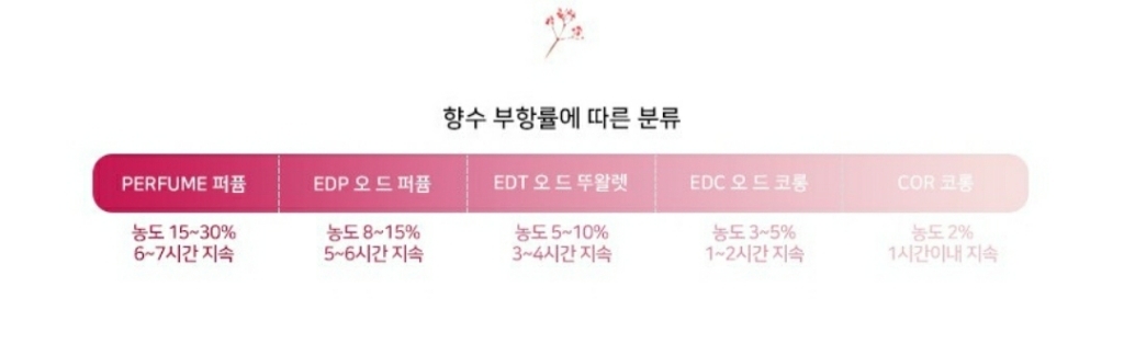 라리브 인 플레임스 오 드 퍼퓸