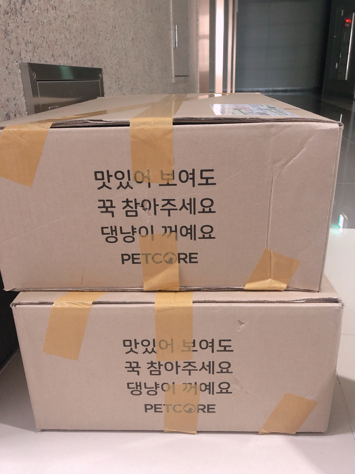 로얄캐닌 어덜트 휘트 고양이 사료
