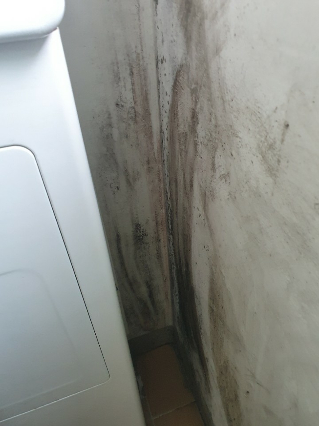 스칼프 세척항균 곰팡이제거제