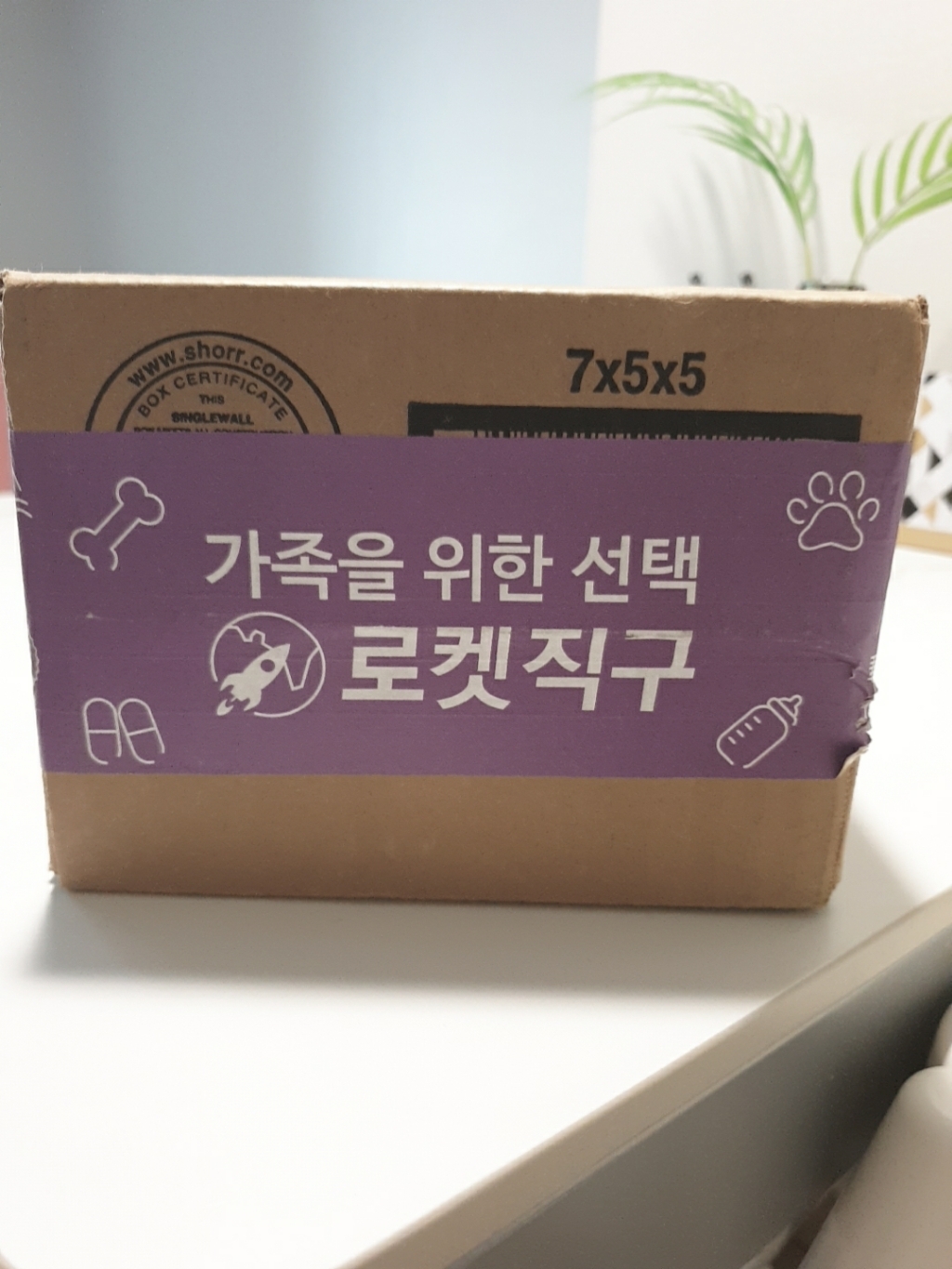 닥터스베스트 케르세틴 브로멜라인 베지 캡