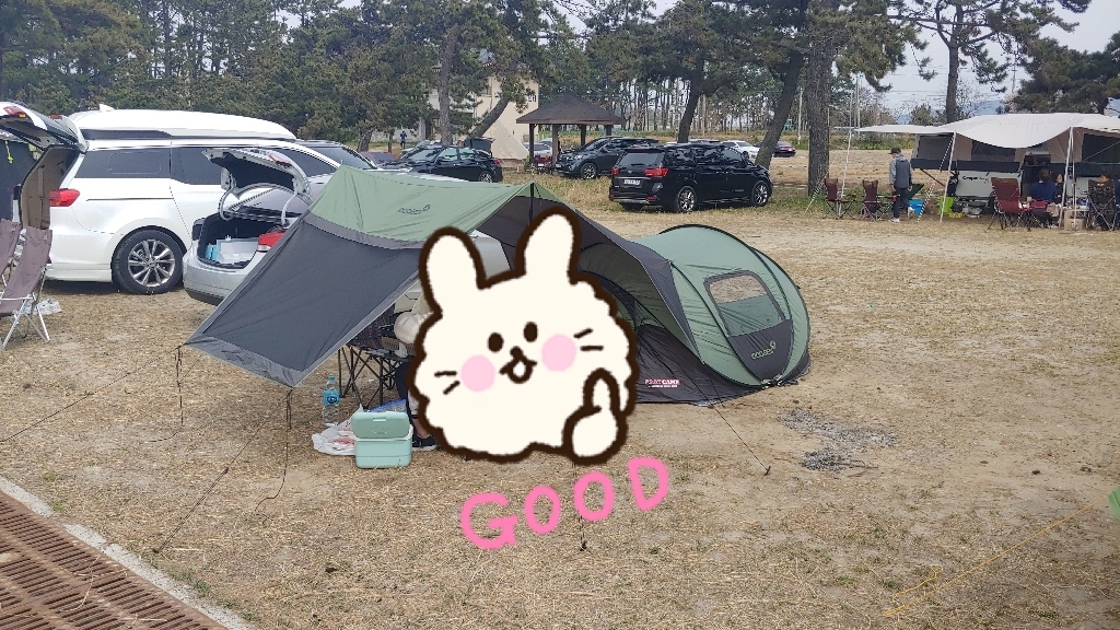 패스트캠프 오페라 스위트 원터치 텐트