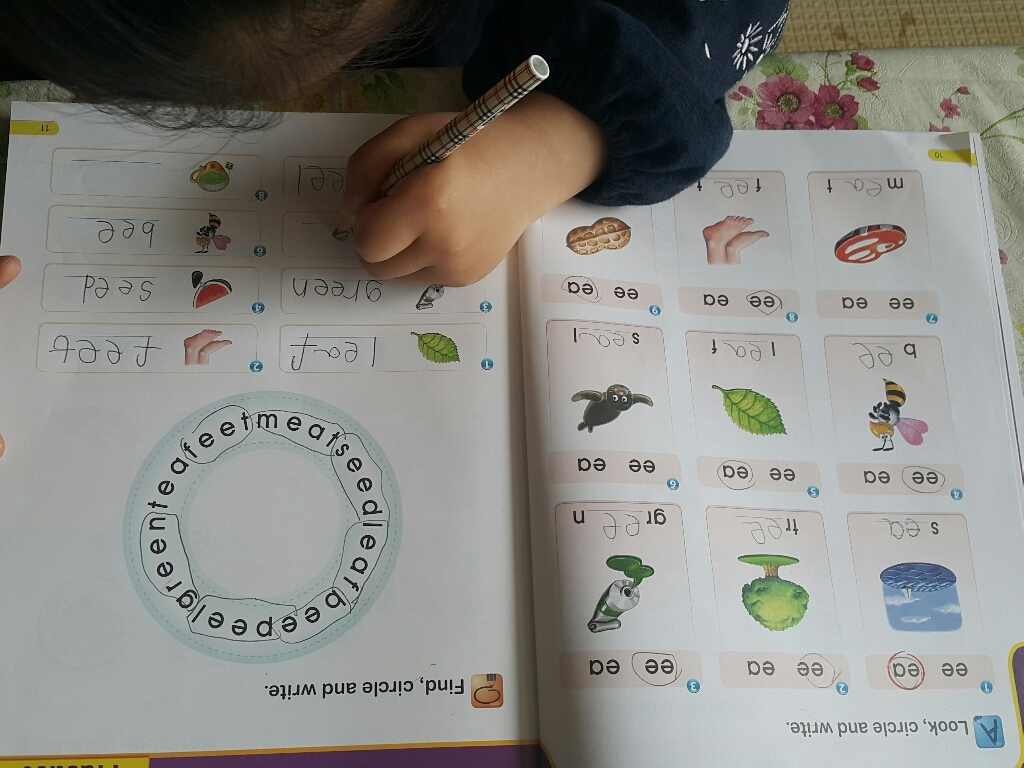 Sart honics StudentBook WorkBook 2권