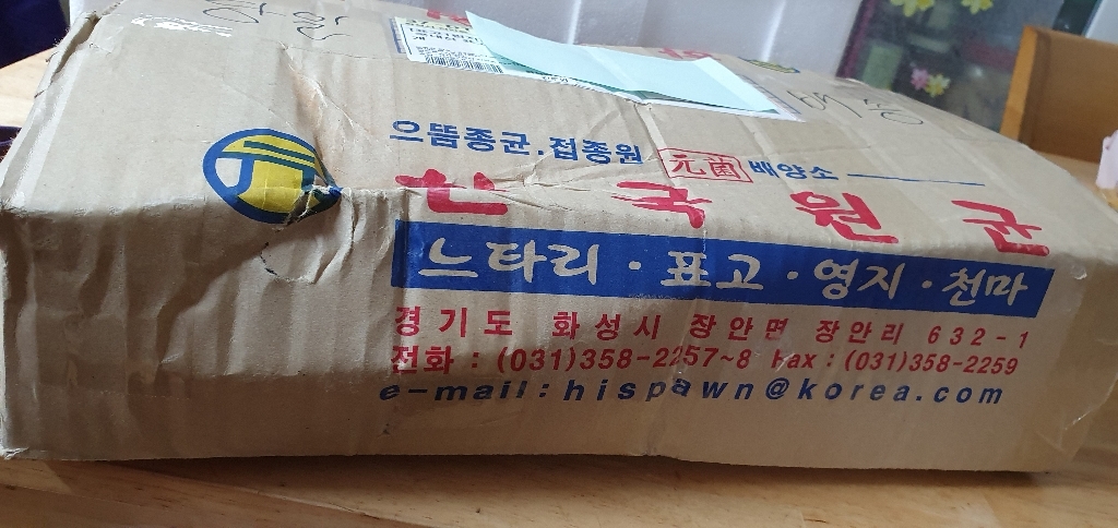 버섯1번지 장흥 무농약 국내산 표고버섯 배지 1개 가정용