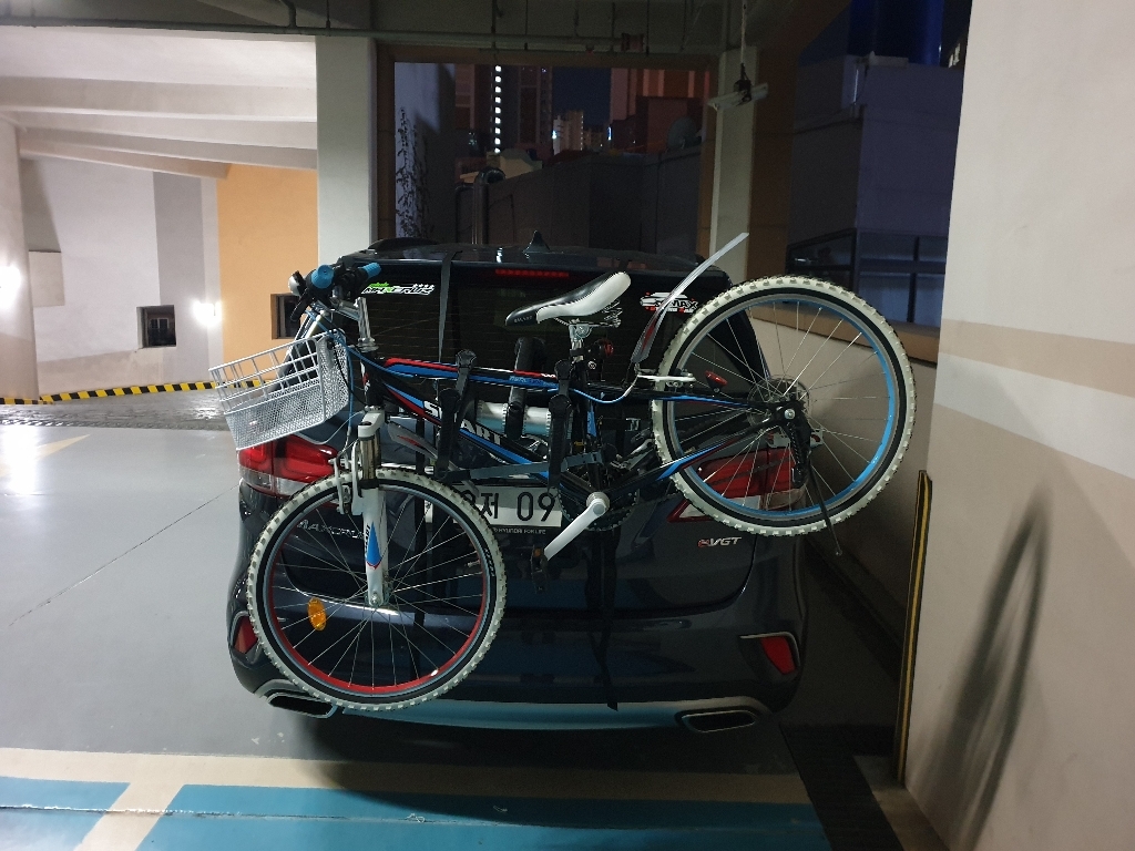 사리스 캐리어 BONES 2 bike