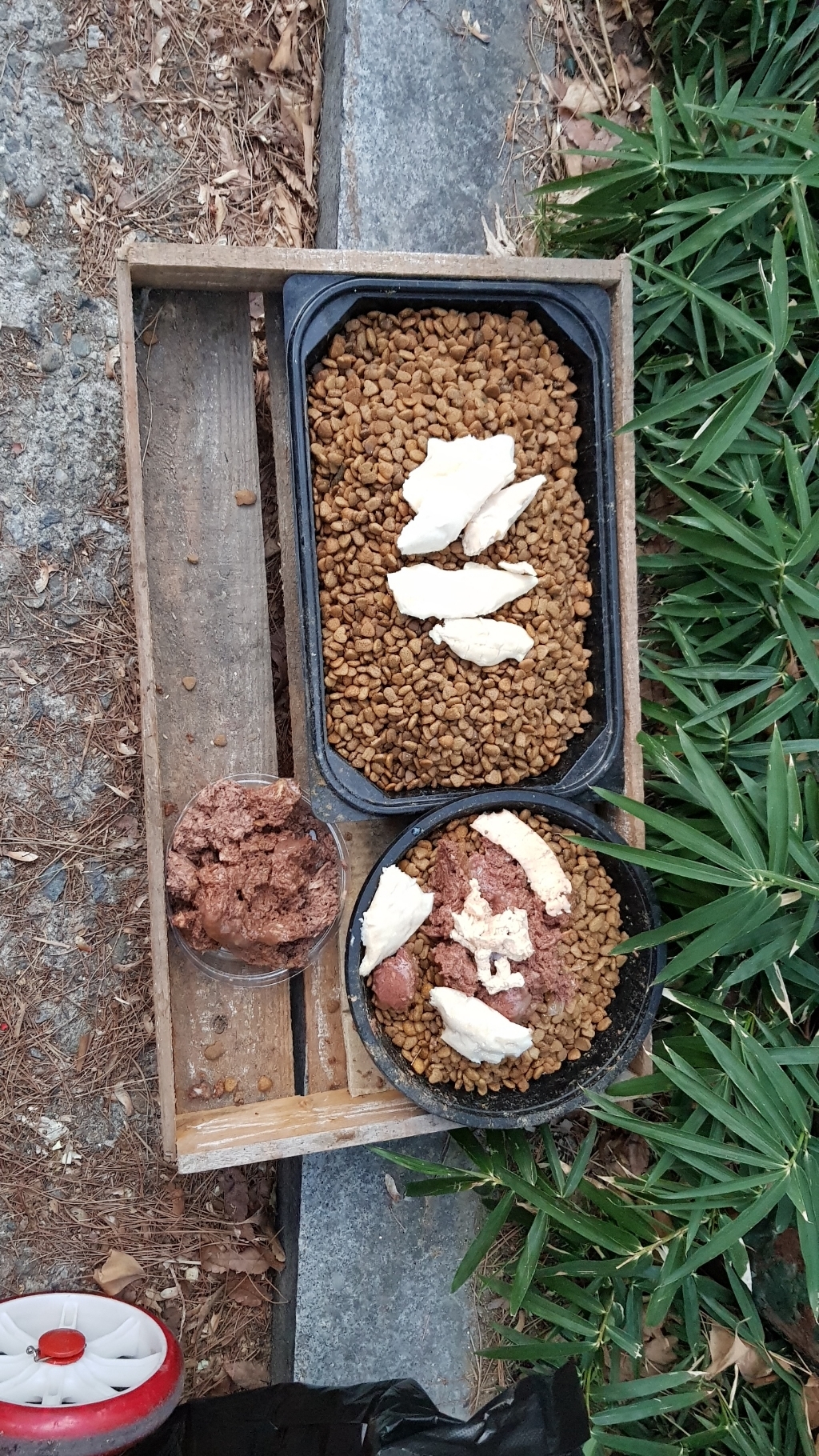 테비토퍼 반려동물 리첼 오리지날 간식, 닭가슴살, 22g, 100개