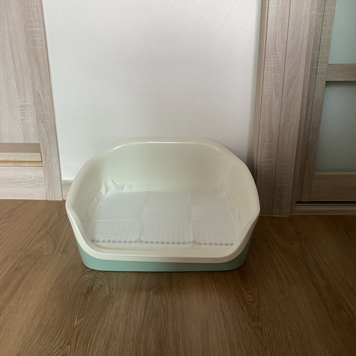 레드퍼피 반려견 아이쉬 점보 배변판 대형 리뷰후기