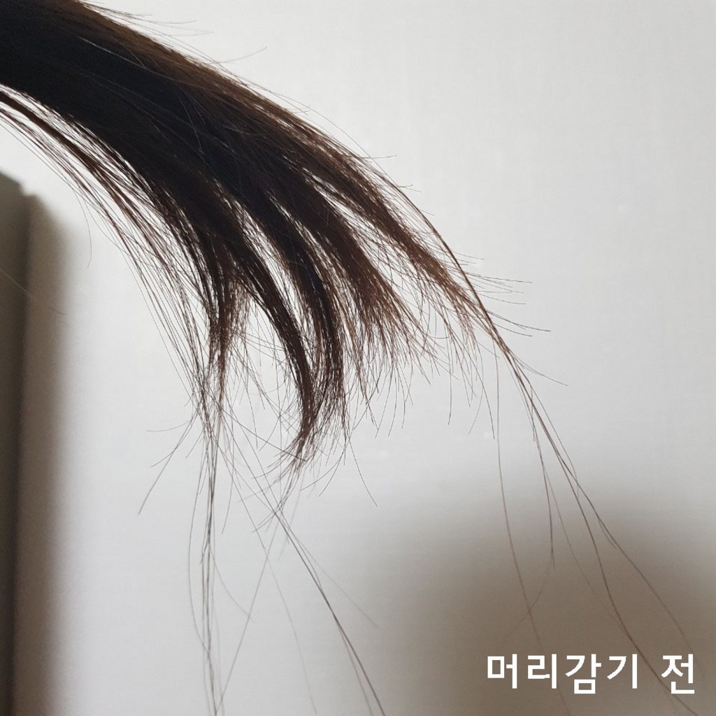 달리프 진저 베러 퍼퓸 트리트먼트 러브피치향 리뷰후기