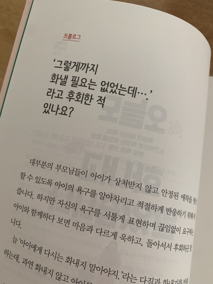 오늘도 화내고 말았습니다:툭하면 떼쓰는 아이 순간적으로 욱하는 부모를 위한 현실 육아 코칭