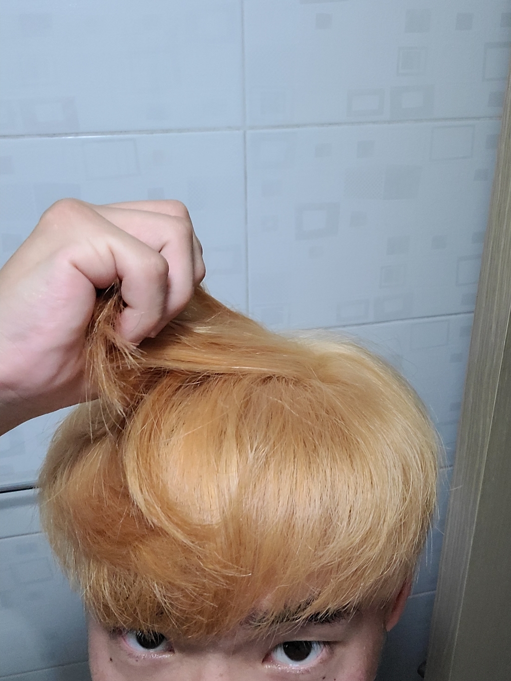 밀본 어딕시 코발트 블루 정품정품 올리브 산화제포함