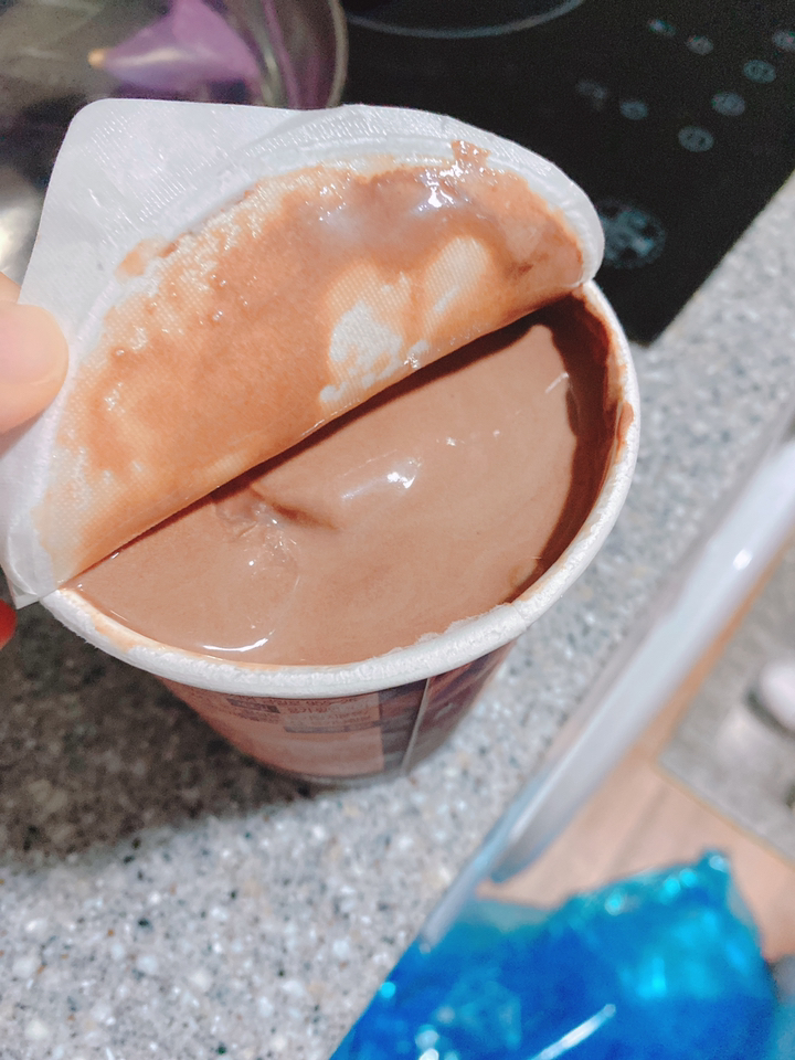배스킨라빈스 초콜렛 오가닉 아이스크림 리뷰후기