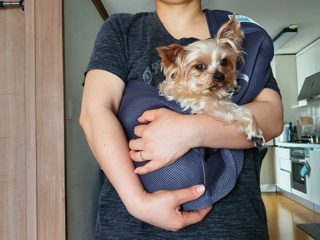 이츠독 캥거루 메쉬 슬링백