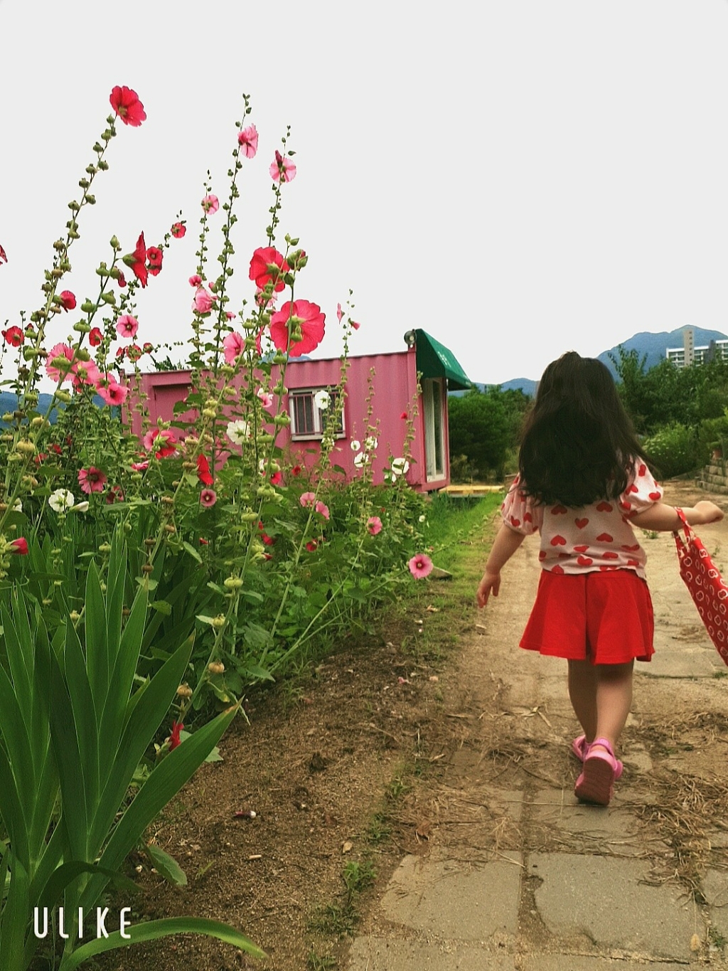 오즈키즈 여아용 사랑사랑 반팔 상하복