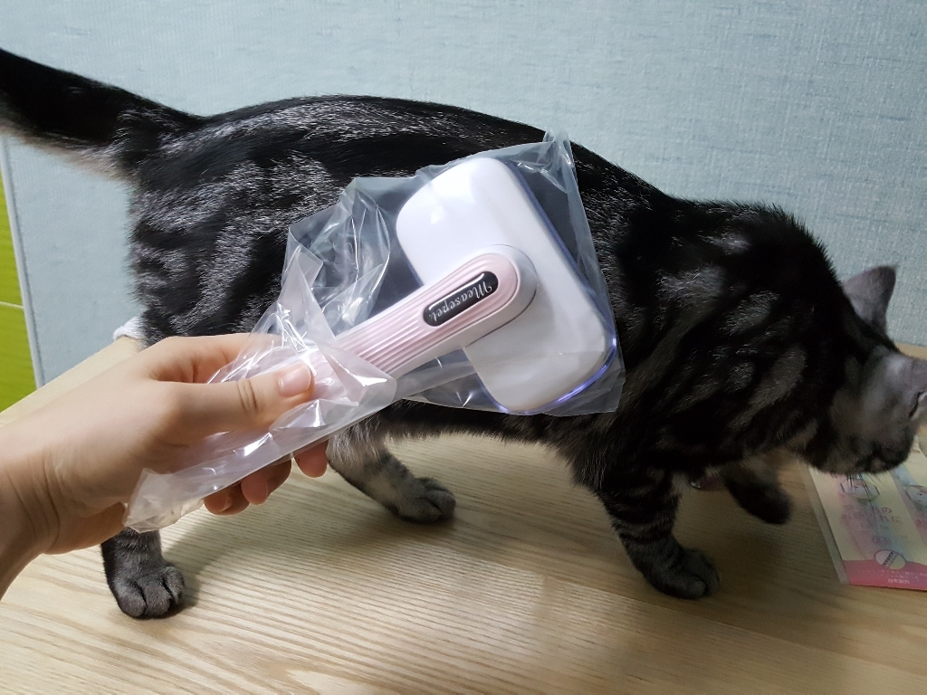 냥글댕글 원터치 브러쉬 10620