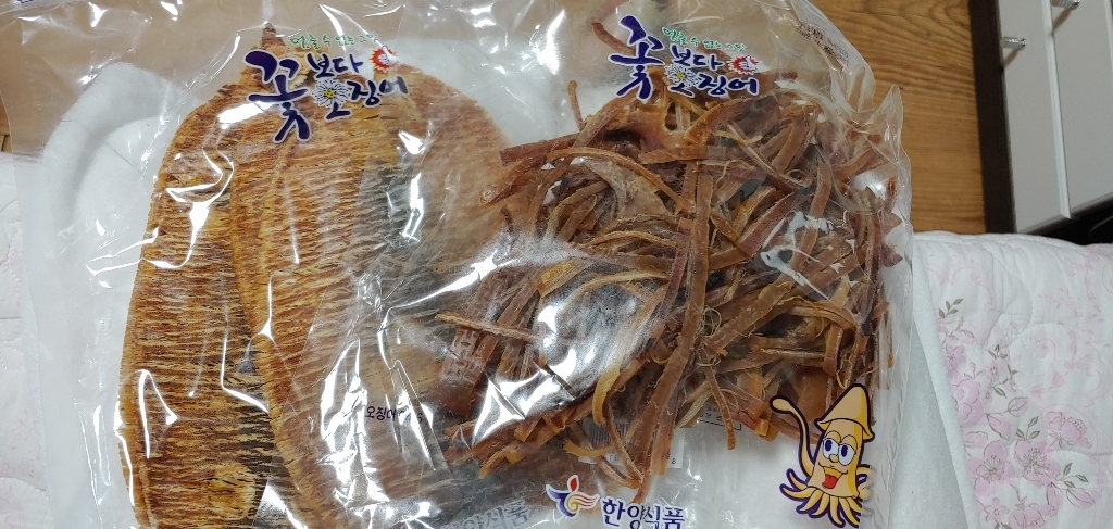 꽃보다오징어