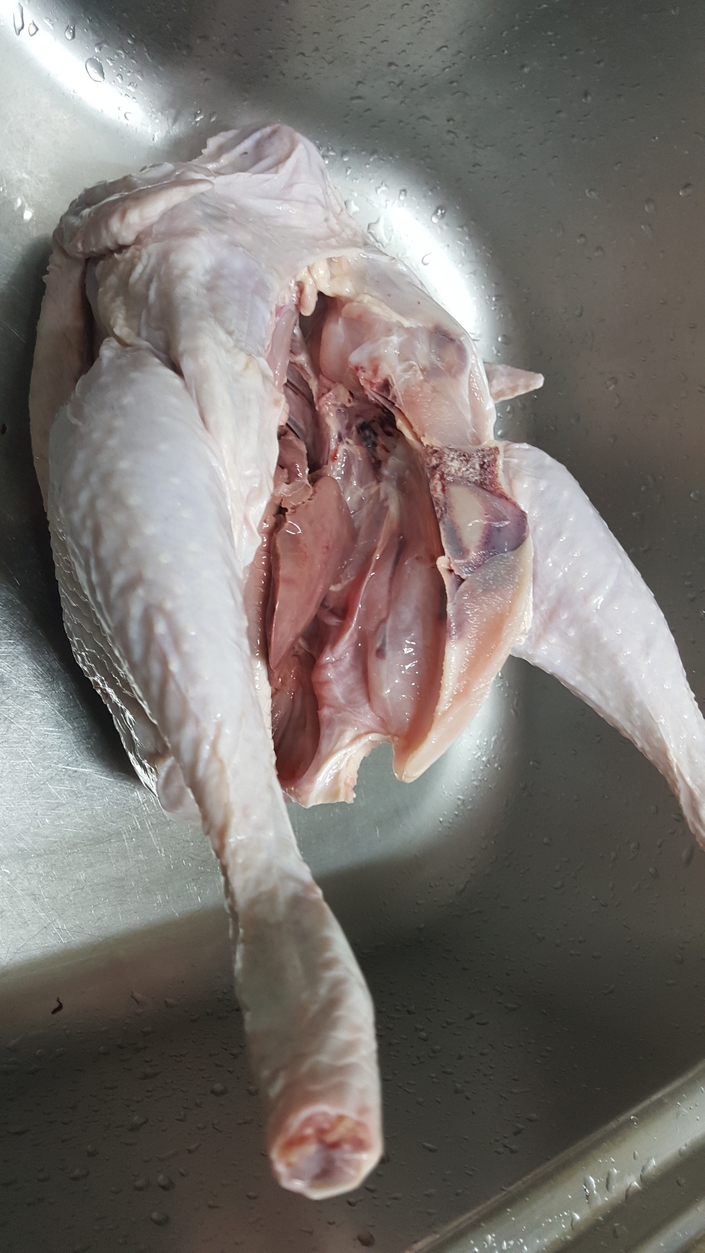 산약초이야기 토종닭백숙 장닭 숫닭 토종닭 2