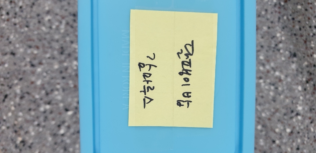 내츄럴한 감마루스 리필