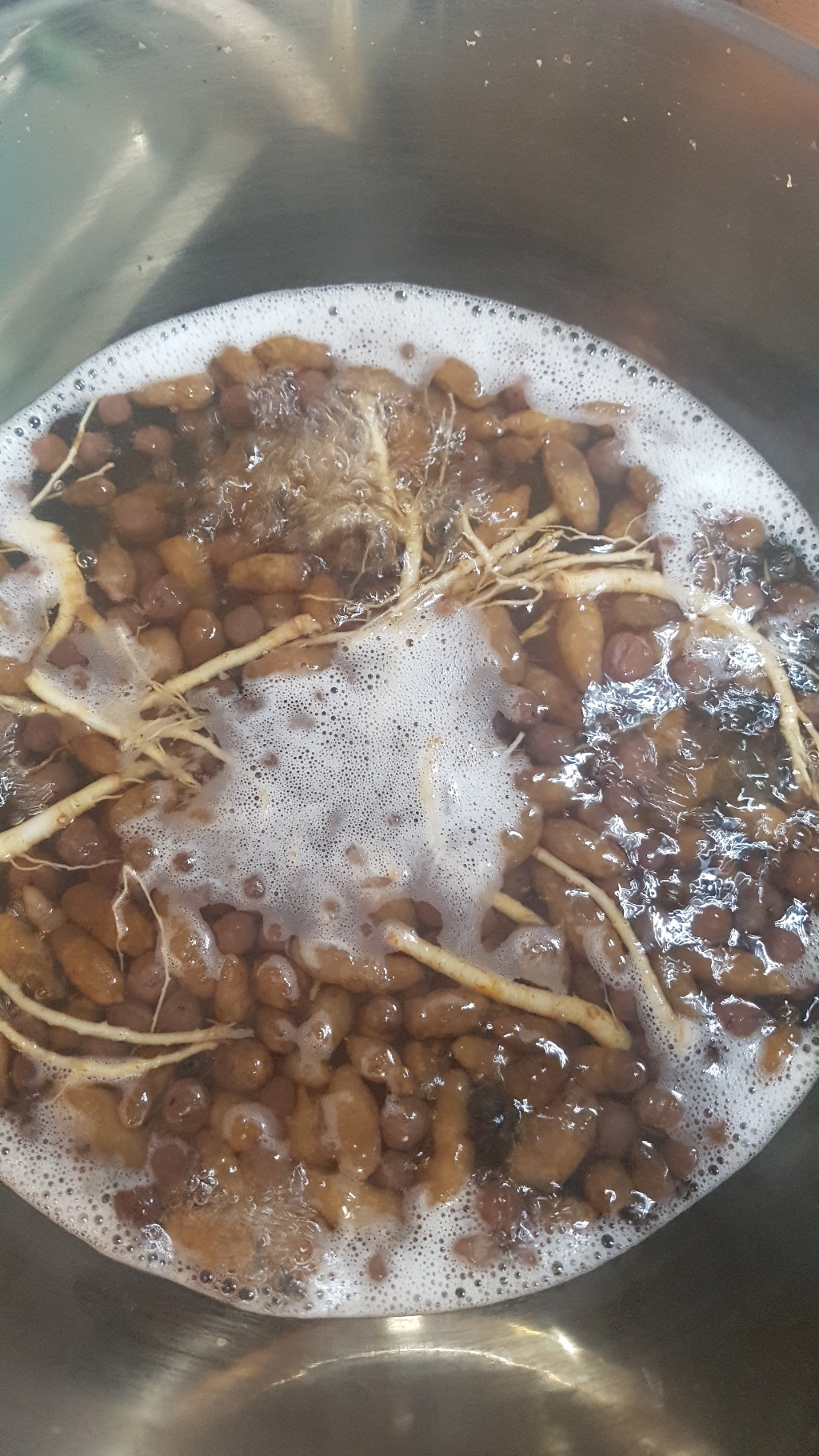 지리산다원 볶은 맥문동 리뷰후기