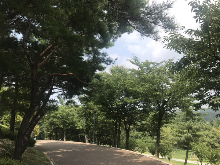 스타리프 1S 쿨 멀티스카프 귀걸이