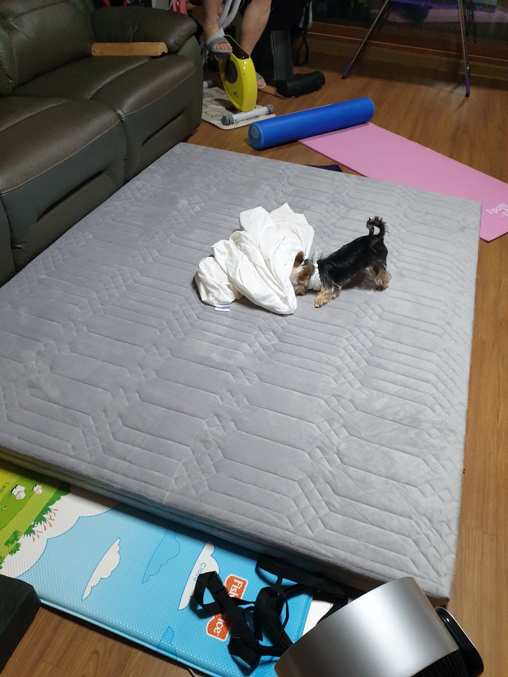 세진침대 미친 탄성! 꿀잠예약 매트리스 F라텍스 토퍼
