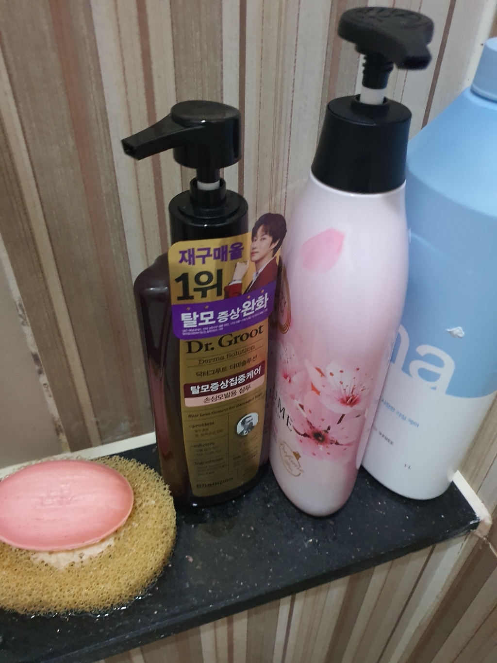 닥터그루트 손상모발용 샴푸