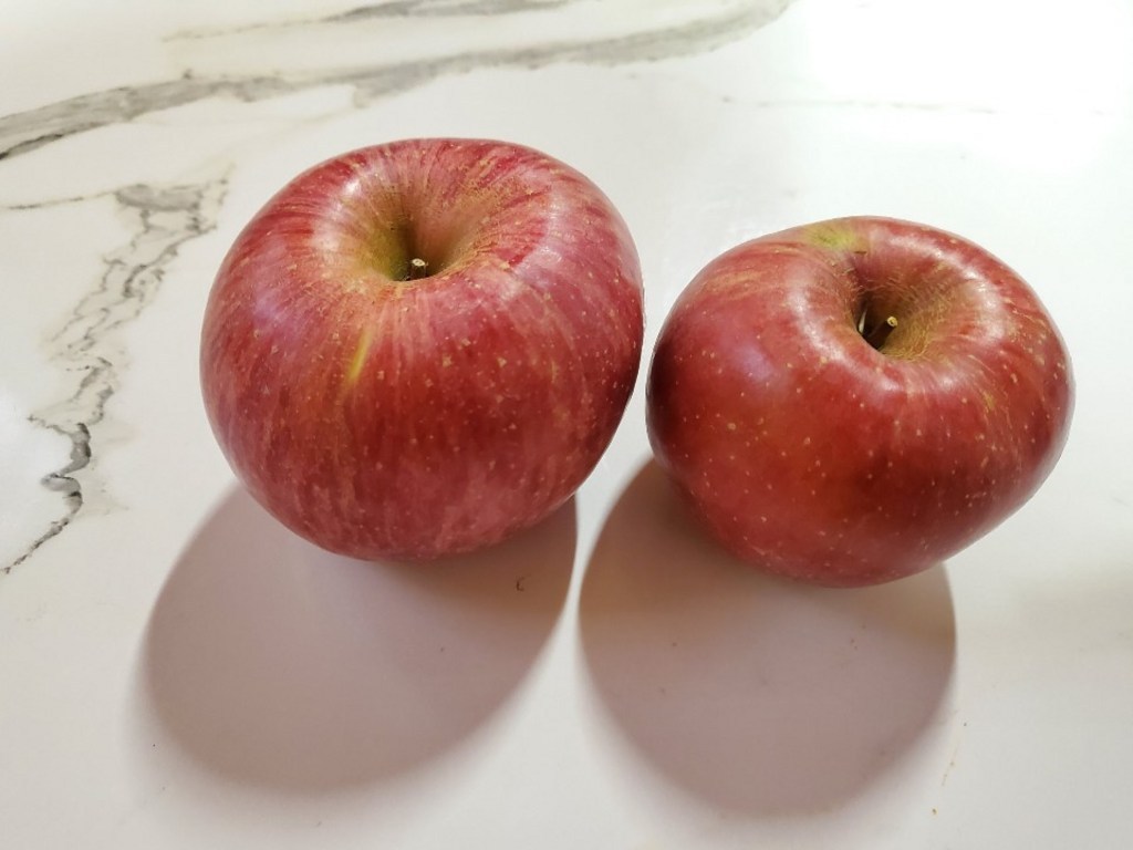 바른팜 아삭아삭 맛있는 사과 리뷰후기
